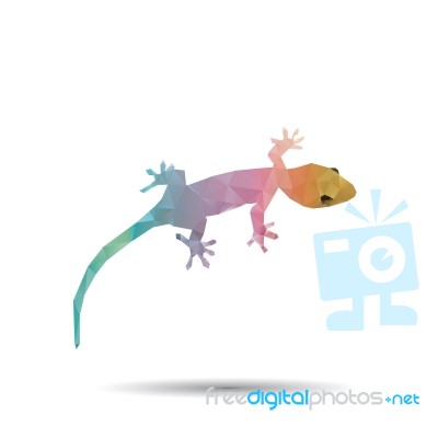 Abstract Geckos Isolated On A White Backgrounds Stock Image