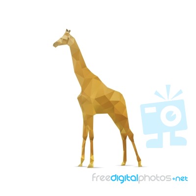 Abstract Giraffe Isolated On A White Backgrounds Stock Image