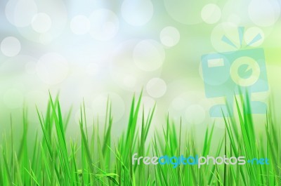  Abstract Grass Stock Photo