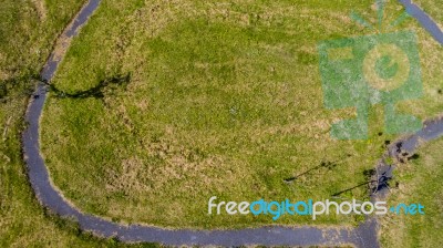 Abstract Grass Background Stock Photo