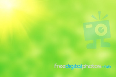 Abstract Green Blurred And Bokeh Background Stock Photo