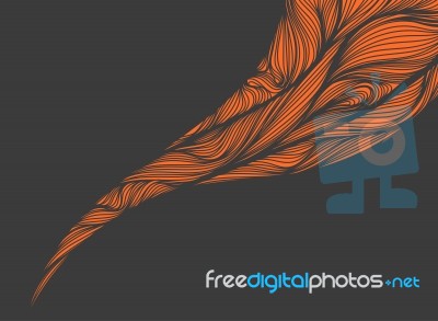 Abstract Lines Curved Scene Stock Image