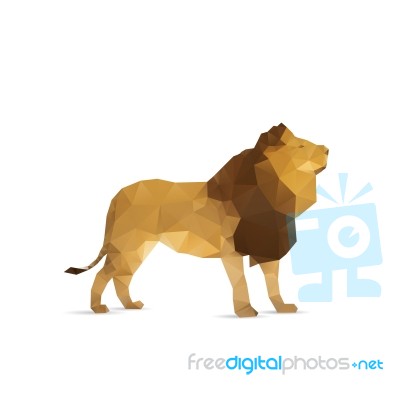 Abstract Lion Stock Image