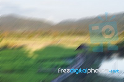 Abstract Motion Blur Background From Green Rice Field Stock Photo