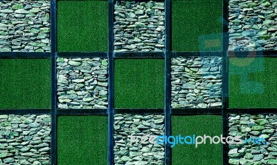 Abstract Of Artificial Grass With Stone Stock Photo