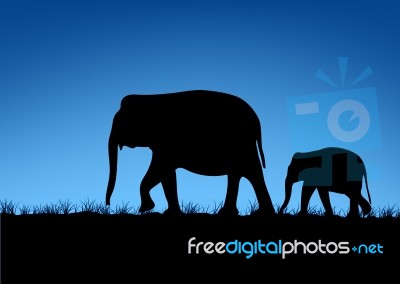 Abstract Of Elephant Family Stock Image