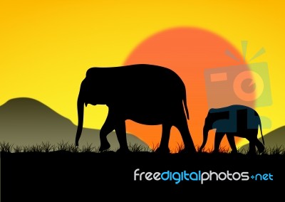 Abstract Of Elephant Family Stock Image