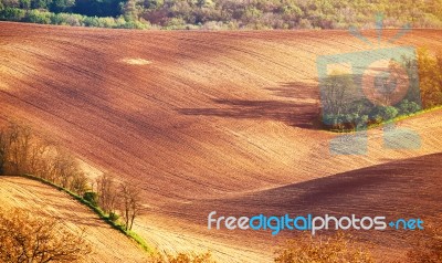 Abstract Pattern Texture Of Rolling Wavy Fields In Spring. Sprin… Stock Photo