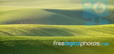 Abstract Pattern Texture Of Rolling Wavy Fields In Spring. Sprin… Stock Photo