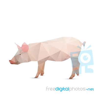 Abstract Pig Stock Image