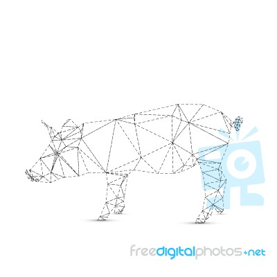 Abstract Pig Stock Image