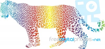 Abstract Rainbow Leopard Stock Image