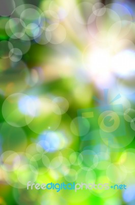 Abstract Spring Green Background And Light Reflect Stock Image