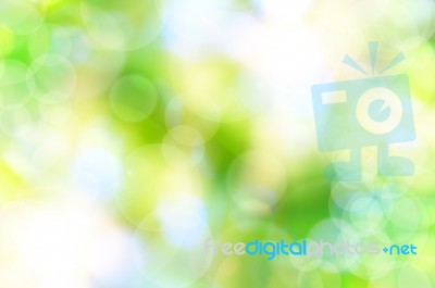 Abstract Spring Green Background And Light Reflect Stock Image