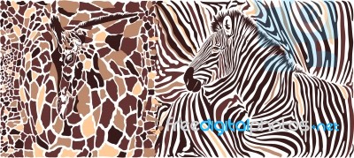 Abstract Texture Of Giraffe And Zebra Stock Image