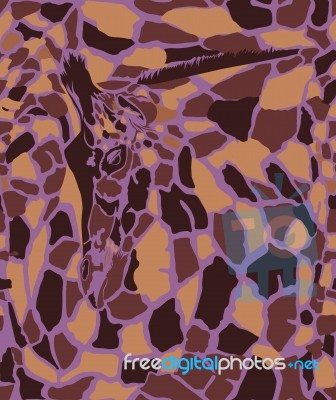 Abstract Texture Of Giraffe Head And Skin Stock Image