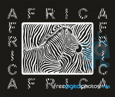 Abstract Zebra Skin Texture Stock Image