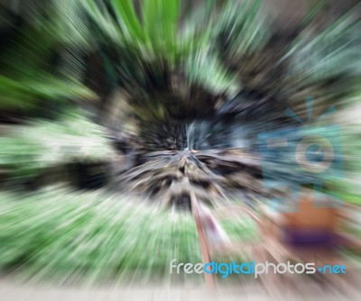 Abstract Zoom Blur Motion In Home Garden Stock Photo