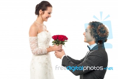 Accept My Token Of Love Stock Photo