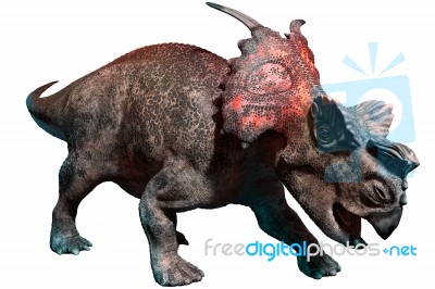 Achelousaurus Stock Image