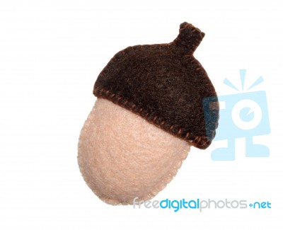 Acorn Stock Photo