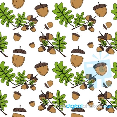 Acorn Pattern By Hand Drawing On White Backgrounds Stock Image