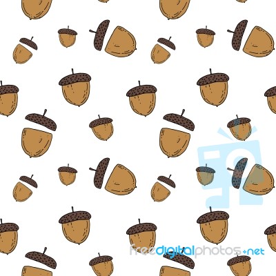 Acorn Pattern By Hand Drawing On White Backgrounds Stock Image