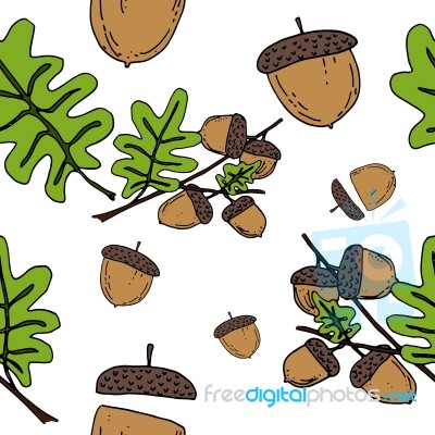 Acorn Seamless Pattern By Hand Drawing On White Backgrounds Stock Image