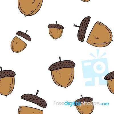 Acorn Seamless Pattern By Hand Drawing On White Backgrounds Stock Image