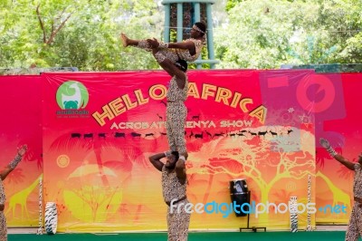 Acrobatic Kenya Show In Dusit Zoo, In The July 27, 2016. Bangkok Thailand Stock Photo