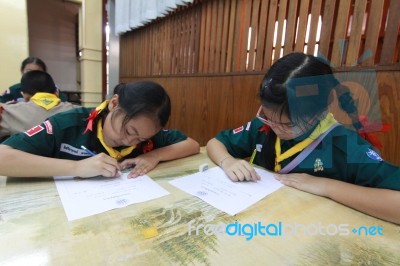 Activity Of Teaching Elementary Students. Elementary Students Are Test Lesson. The Students Intend Exam Stock Photo