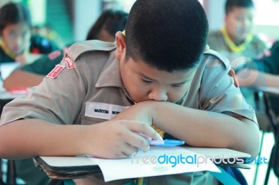 Activity Of Teaching Elementary Students. Elementary Students Are Test Lesson. The Students Intend Exam Stock Photo