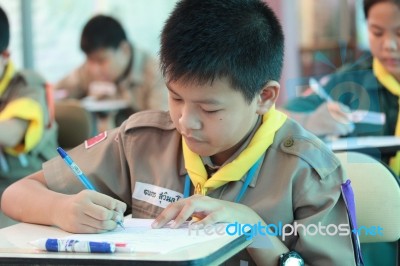 Activity Of Teaching Elementary Students. Elementary Students Are Test Lesson. The Students Intend Exam Stock Photo