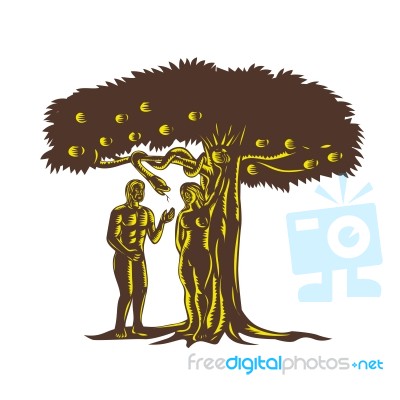 Adam And Eve Apple Serpent Woodcut Stock Image