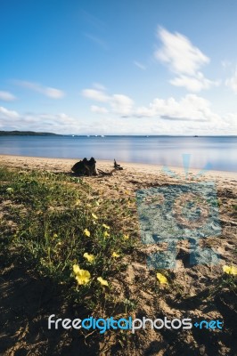 Adams Beach On Stradbroke Island, Queensland Stock Photo