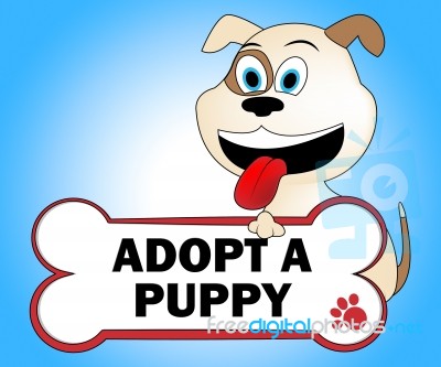 Adopt Puppy Shows Looking After Dog Pets Stock Image