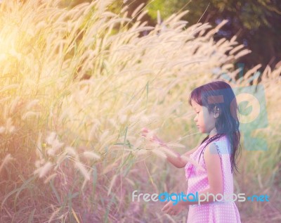 Adorable Little Girl Laughing In A Meadow - Happy Girl At Sunset… Stock Photo