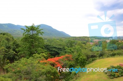 Aerial View Of Kao Yai National Park In Thailand Stock Photo