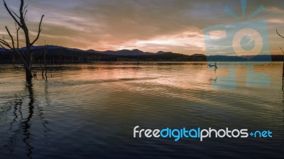 Aerial View Of Lake Moogerah In Queensland Stock Photo