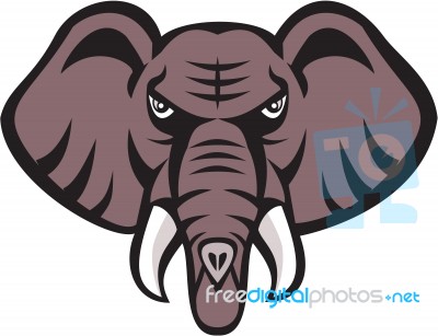 African Elephant Head Angry Tusk Retro Stock Image