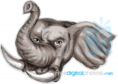 African Elephant Head Watercolor Stock Image