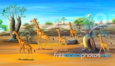 African Giraffes Family Walking At The Savannah Stock Image