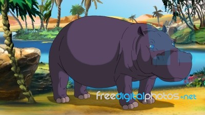 African Hippo Stock Image