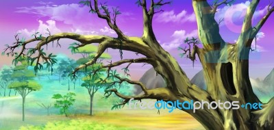 African Tree With Big Hollow Against Purple Sky Stock Image