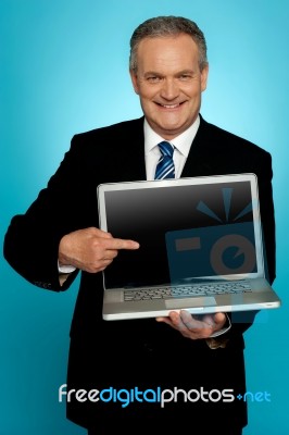 Aged Corporate Male Pointing At Laptop Screen Stock Photo