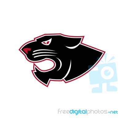 Aggressive Panther Head Icon Stock Image