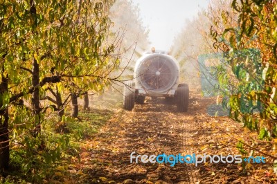 Agricultural Atomizer Stock Photo