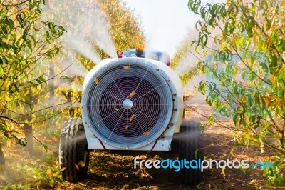 Agricultural Atomizer Stock Photo