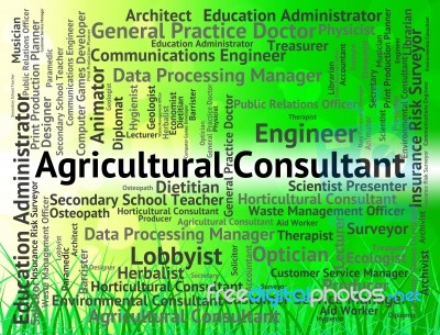 Agricultural Consultant Represents Employee Job And Cultivation Stock Image