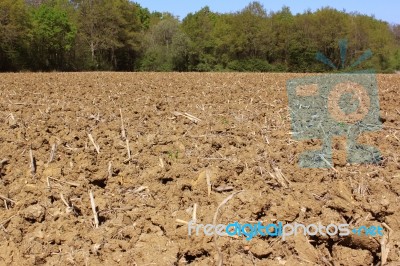 Agricultural Land Stock Photo